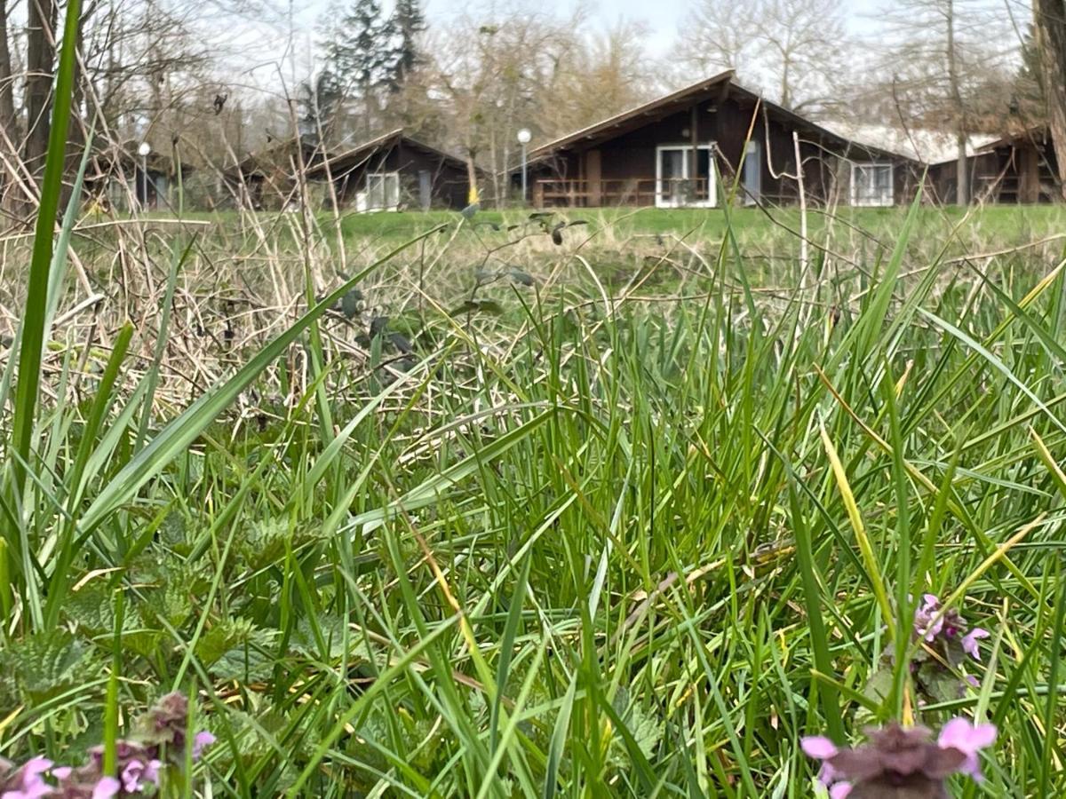 Camping De La Chalaronne Hotel Saint-Didier-sur-Chalaronne Buitenkant foto